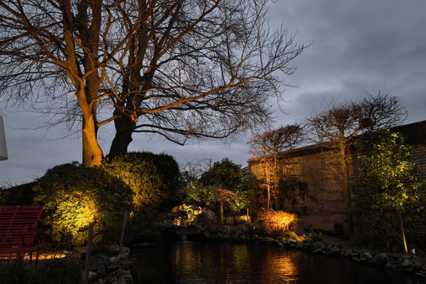 Atmosphärisches Gartenlicht durch Akzentbeleuchtung – individuelles Konzept Beispiel 3