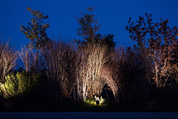 Professionelles Lichtkonzept Berlin – exklusive Gartenbeleuchtung mit LED