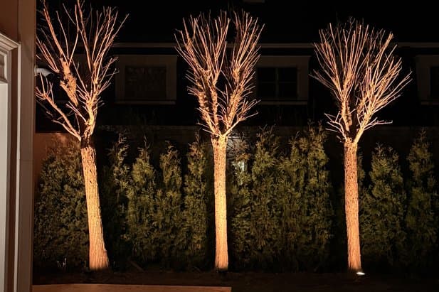 Beleuchtete B&auml;ume und Hecken Berlin