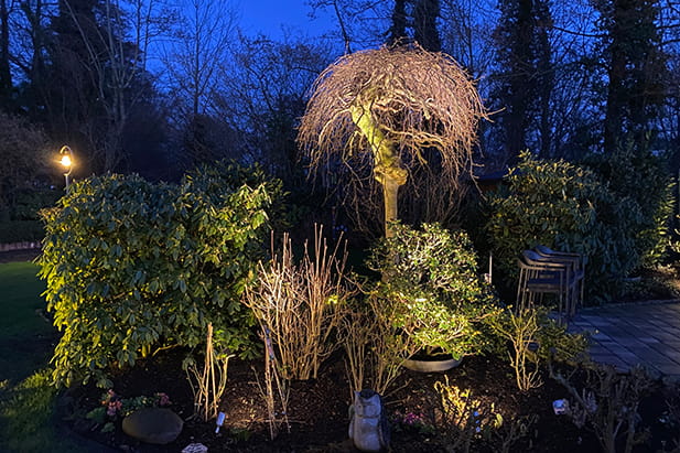 Effektvolle Gartenbeleuchtung mit modernen LED-Leuchten – Beispiel 6