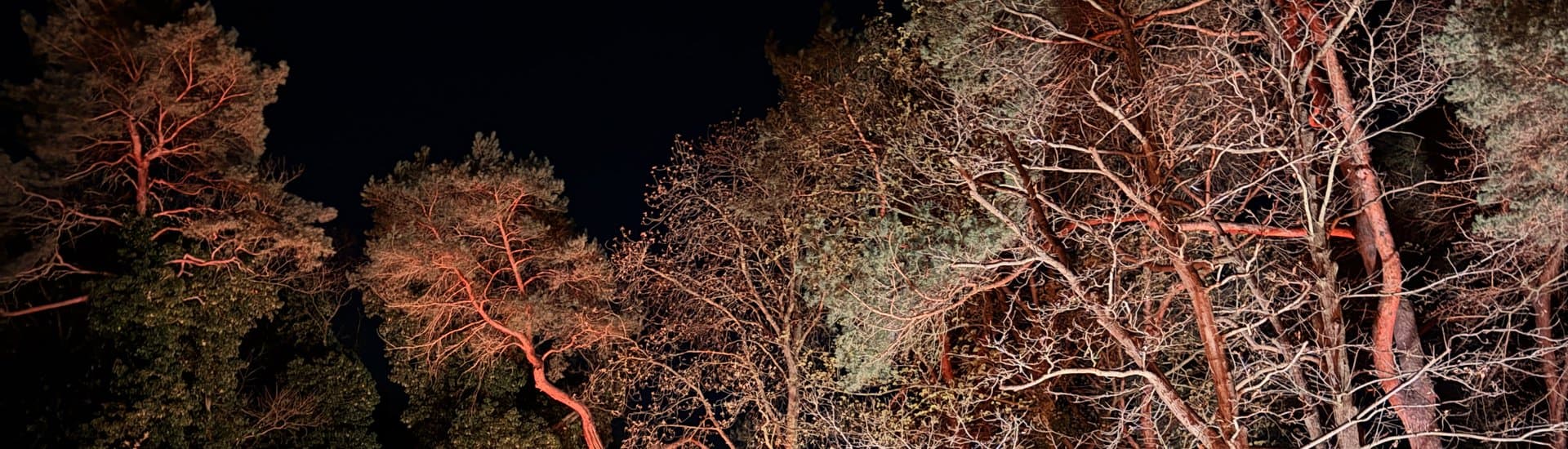 Gartenbeleuchtung in Berlin – exklusive Lichtplanung vom Fachbetrieb