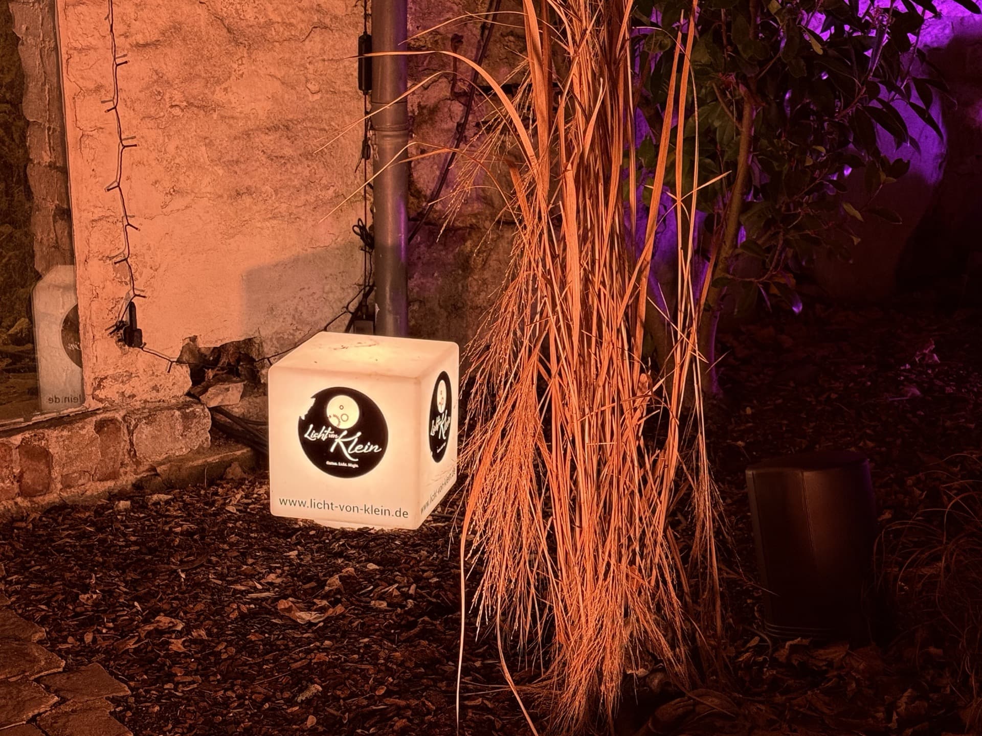 Lichtwechsel im Lichtergarten – verschiedene Stimmungen live erleben