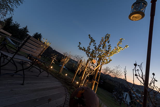 Gartenbeleuchtung Lindlar – mediterrane Atmosphäre mit professioneller Lichtplanung
