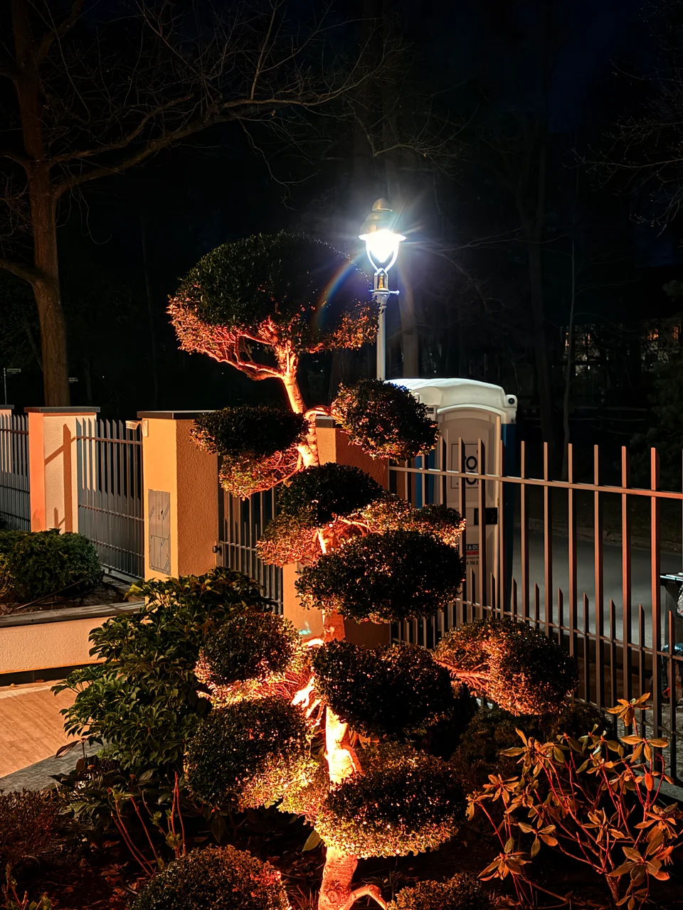 Beleuchteter Formschnittbaum als Detail des Berliner Projekts